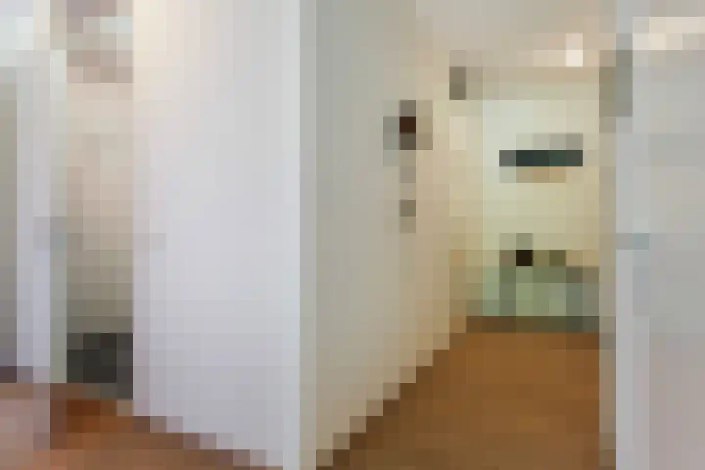 De Lanen 9 Drachten thumbnail 33