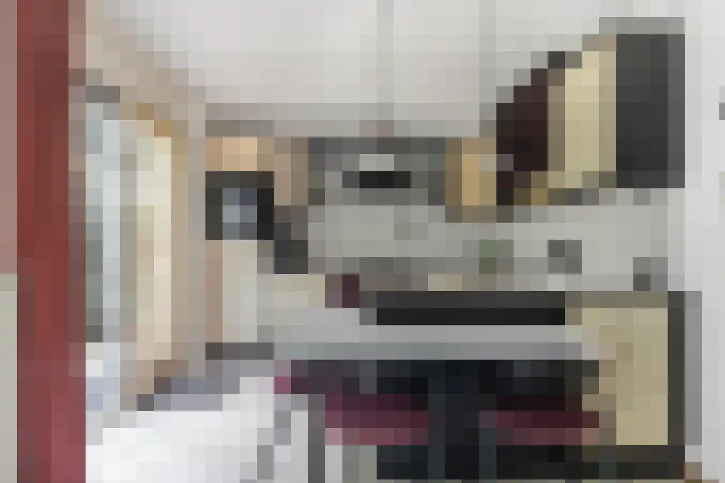 De Lange Akker 37 Nieuwe Niedorp thumbnail 14