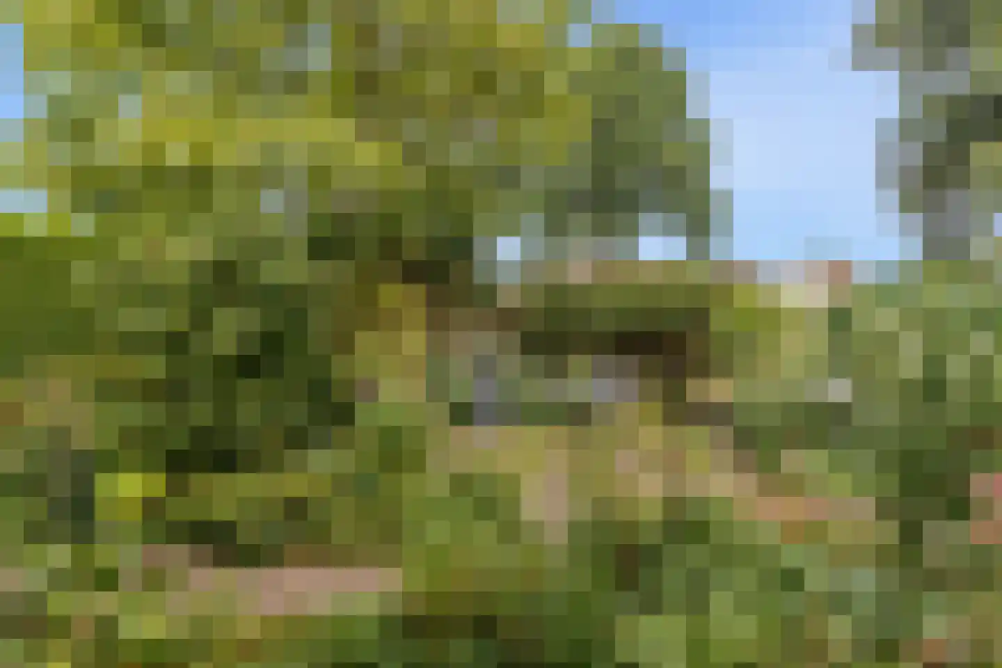 De Lange Akker 37 Nieuwe Niedorp thumbnail 19