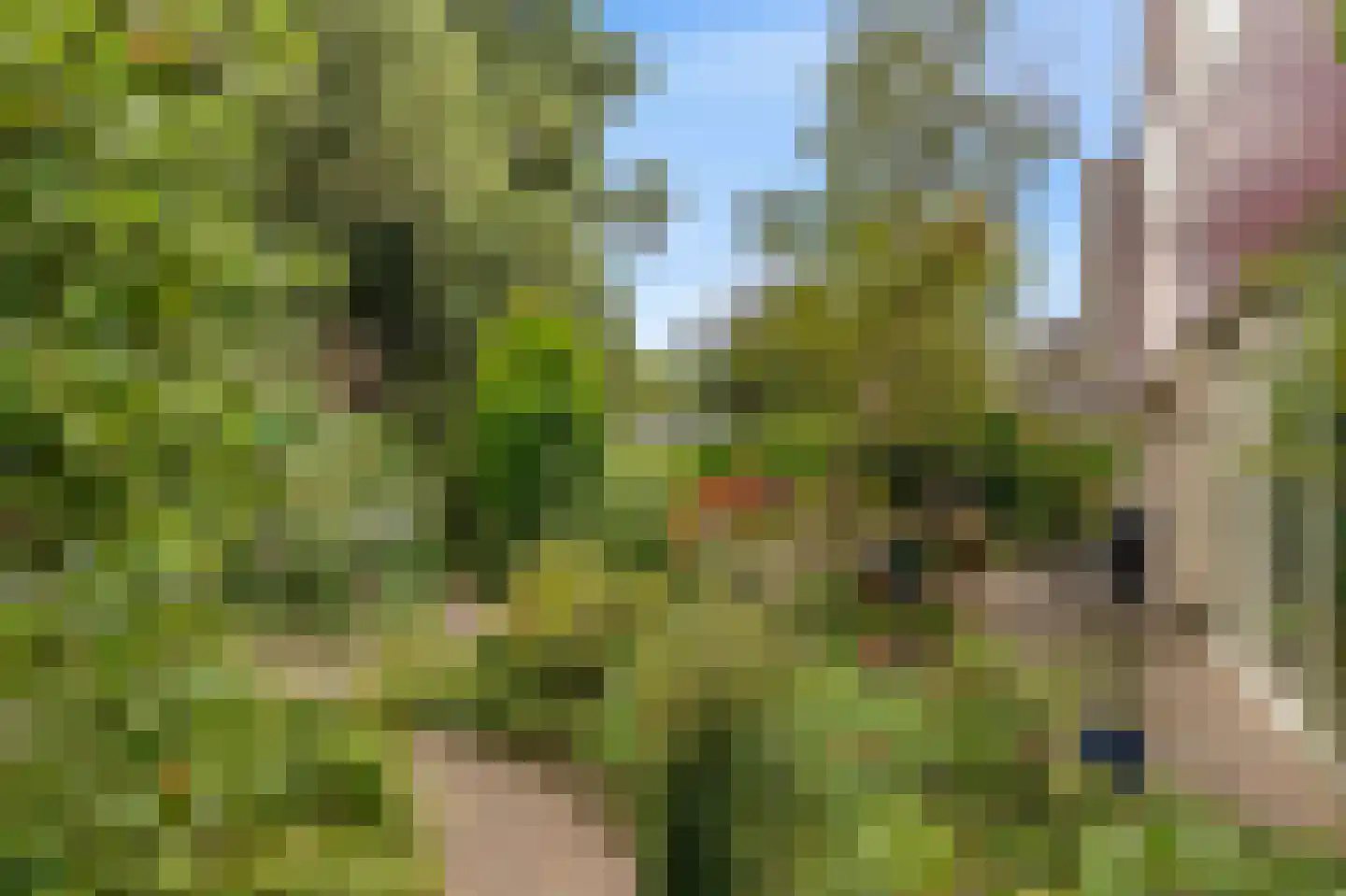 De Lange Akker 37 Nieuwe Niedorp thumbnail 21