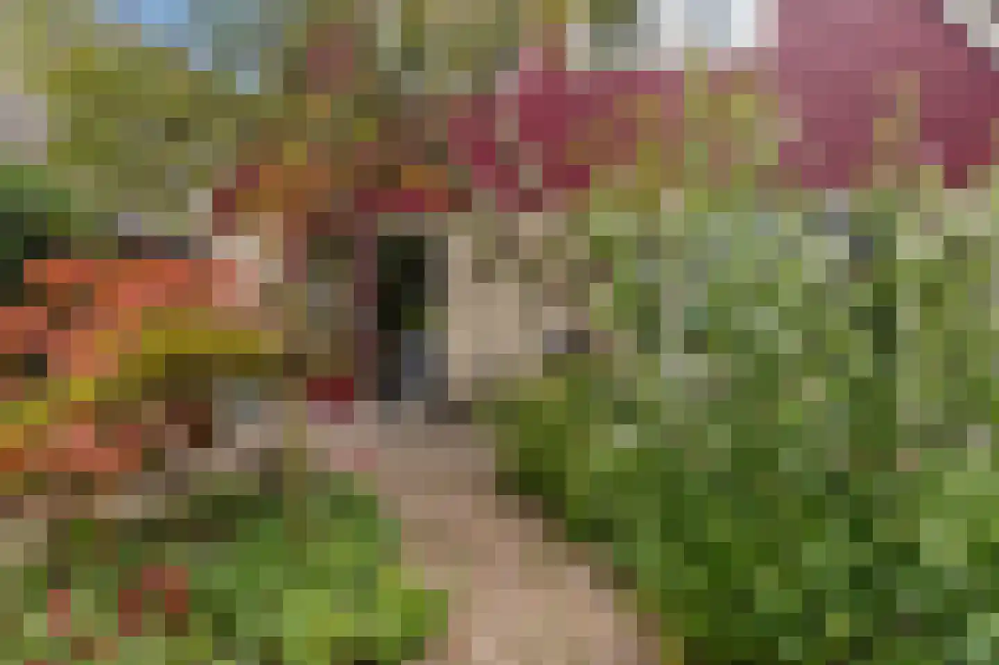 De Lange Akker 37 Nieuwe Niedorp thumbnail 23