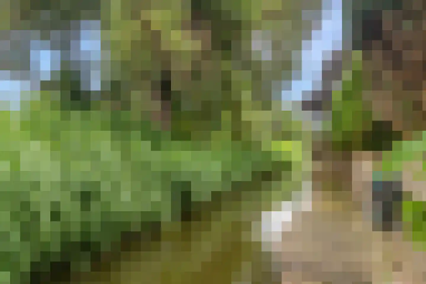 De Lange Akker 37 Nieuwe Niedorp thumbnail 26