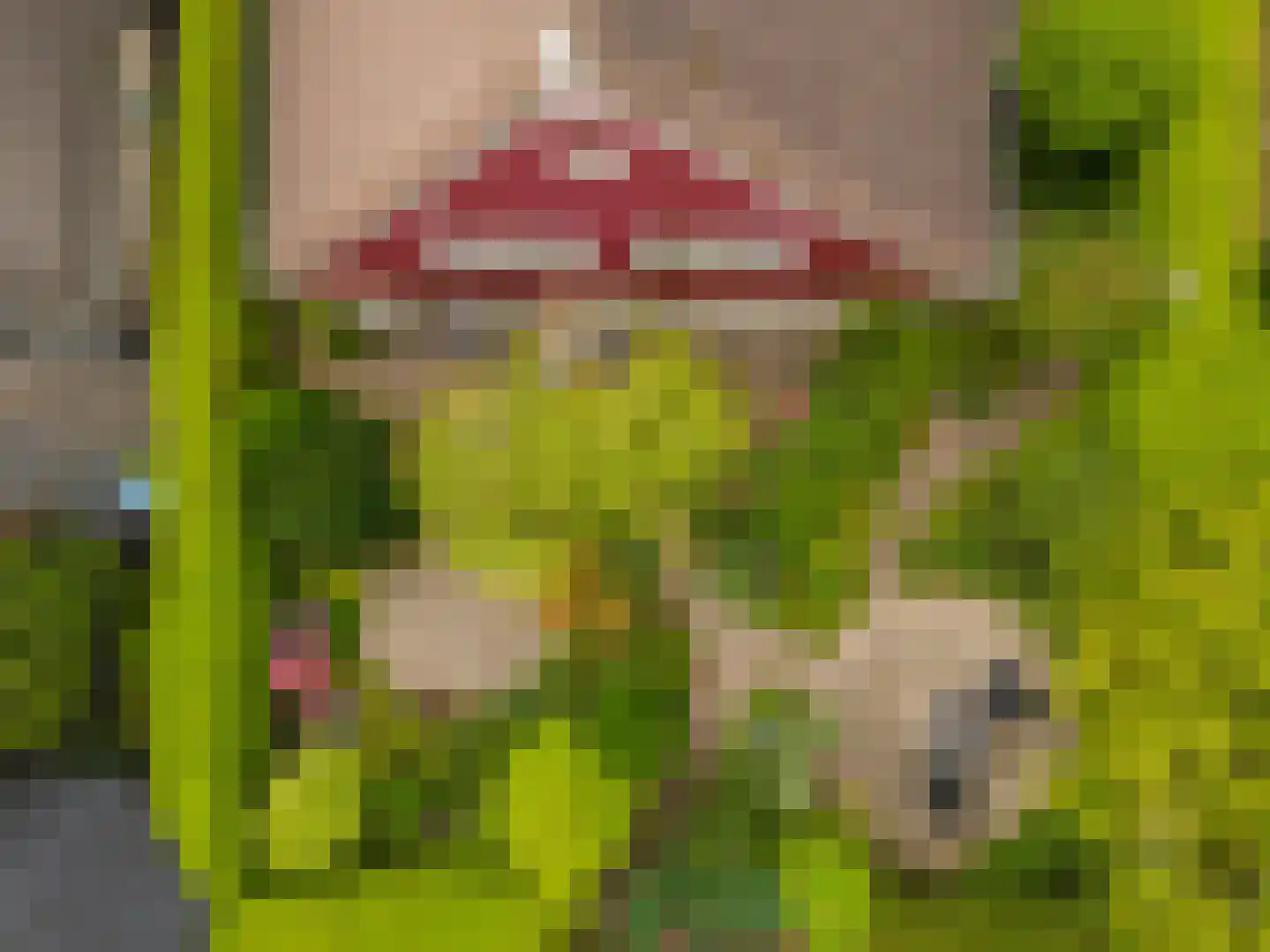 De Lange Akker 37 Nieuwe Niedorp thumbnail 27