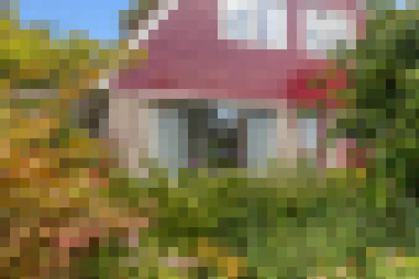 De Lange Akker 37 Nieuwe Niedorp foto 3