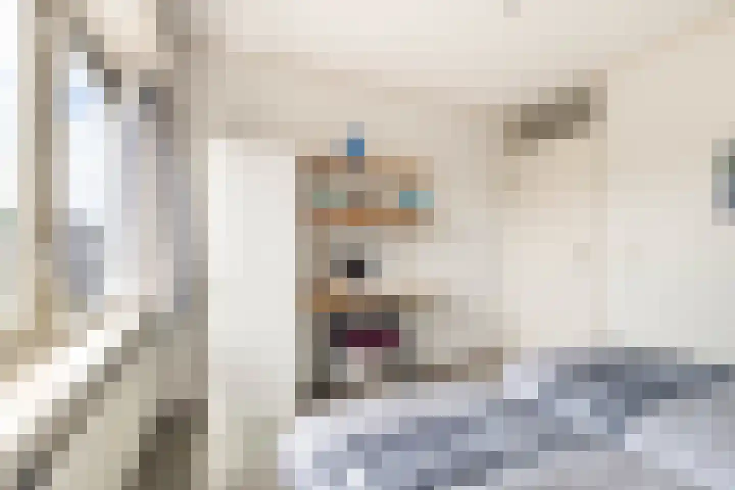 De Lange Akker 37 Nieuwe Niedorp thumbnail 34