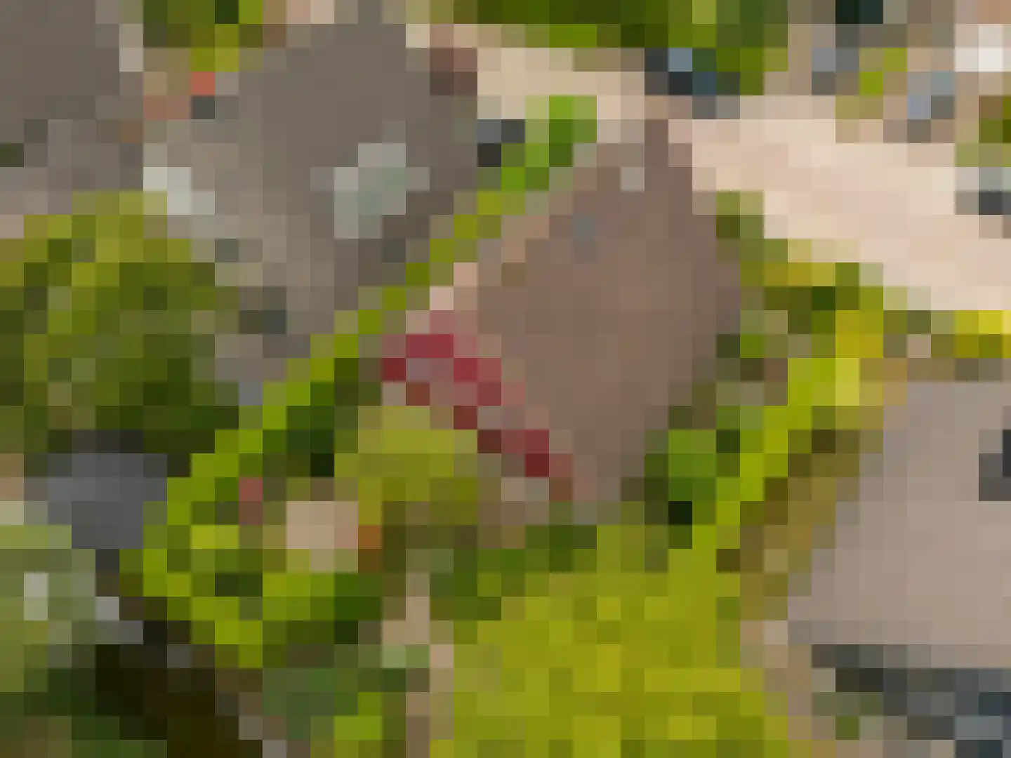De Lange Akker 37 Nieuwe Niedorp thumbnail 42