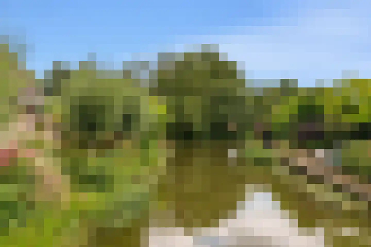 De Lange Akker 37 Nieuwe Niedorp thumbnail 43