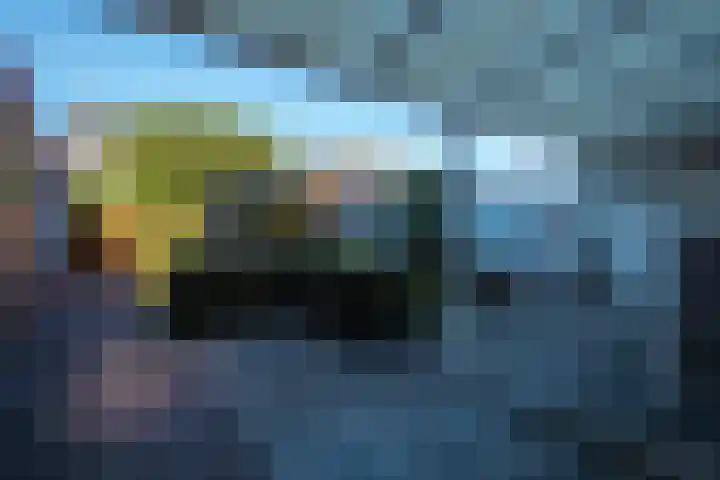 De Lange Beemdens 9 Wessem thumbnail 21