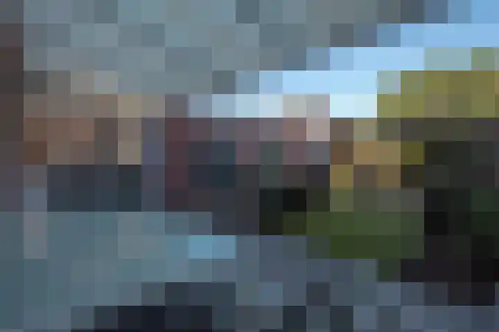 De Lange Beemdens 9 Wessem thumbnail 22