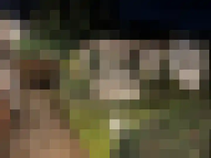 De Lange Beemdens 9 Wessem thumbnail 26
