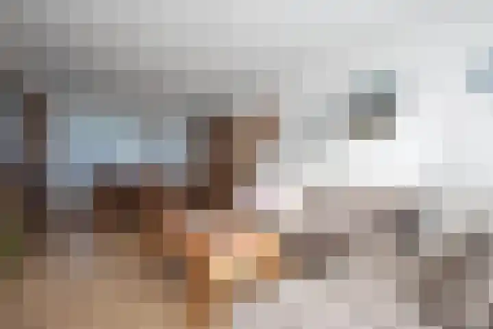 De Lange Beemdens 9 Wessem thumbnail 7