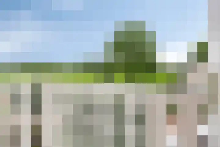 de Lange Drift 11 Rossum thumbnail 17