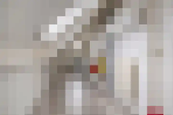 de Lange Drift 11 Rossum thumbnail 22