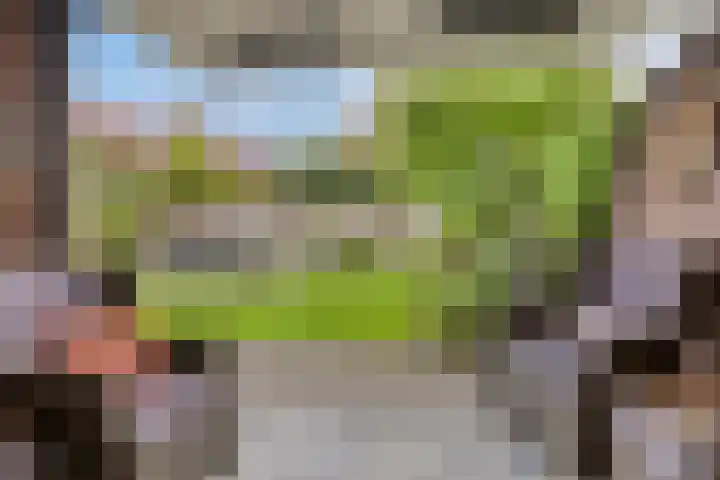 de Lange Drift 11 Rossum thumbnail 28