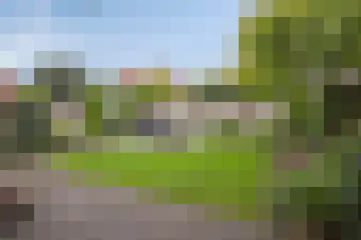 de Lange Drift 11 Rossum thumbnail 29