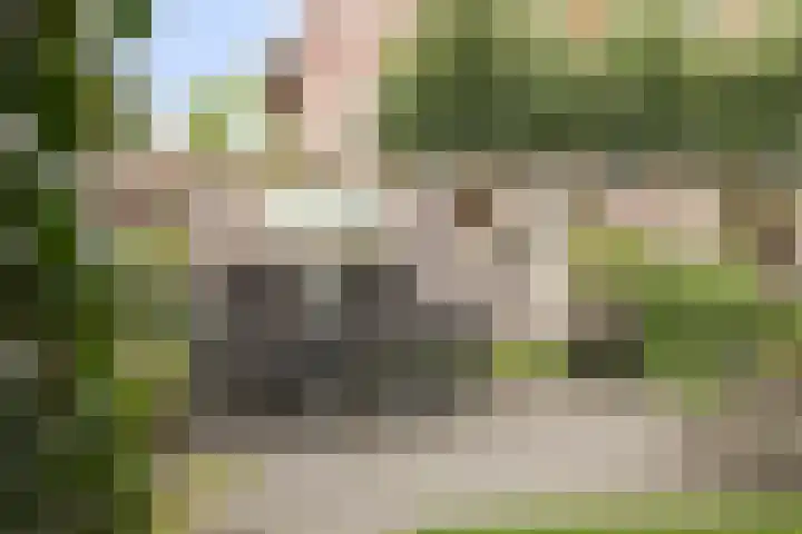 de Lange Drift 11 Rossum thumbnail 30