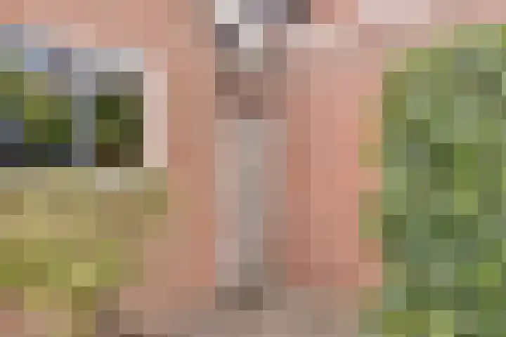 de Lange Drift 11 Rossum thumbnail 31