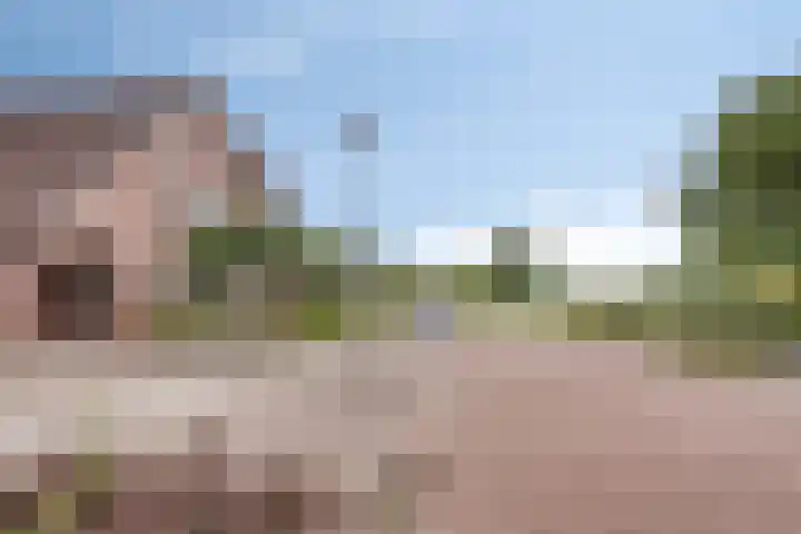 de Lange Drift 11 Rossum thumbnail 32