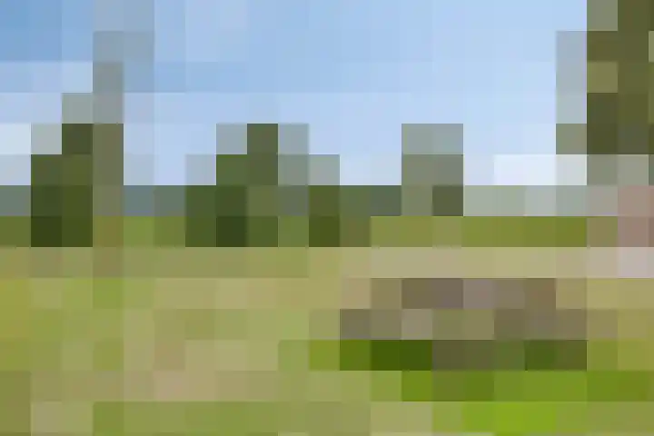 de Lange Drift 11 Rossum thumbnail 33