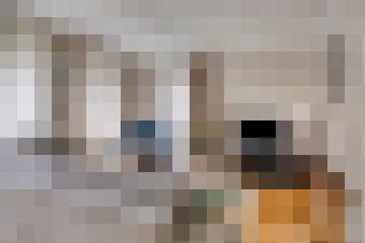 de Lange Drift 11 Rossum thumbnail 5