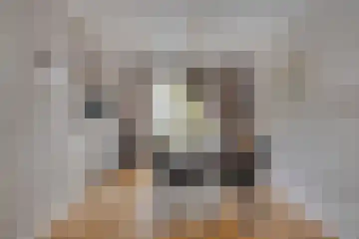 de Lange Drift 11 Rossum thumbnail 8