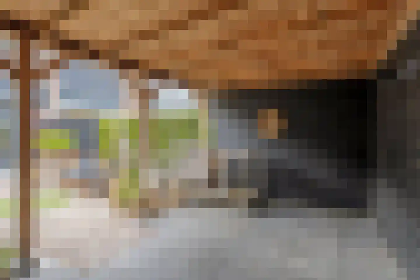 de Lange Gangh 11 Muiden thumbnail 20