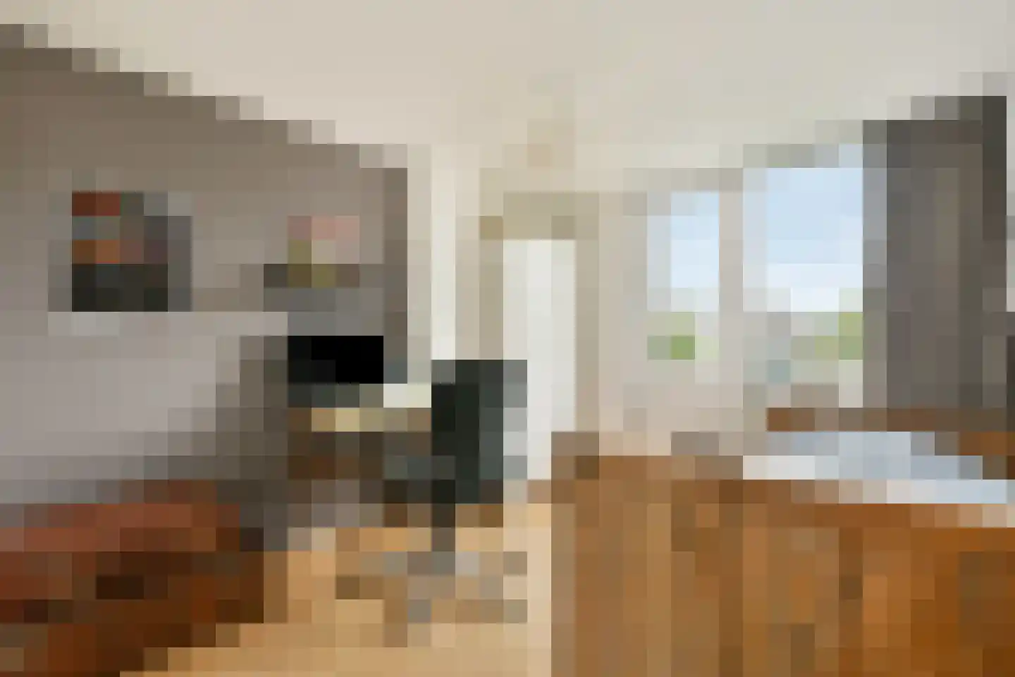 de Lange Gangh 15 Muiden thumbnail 18