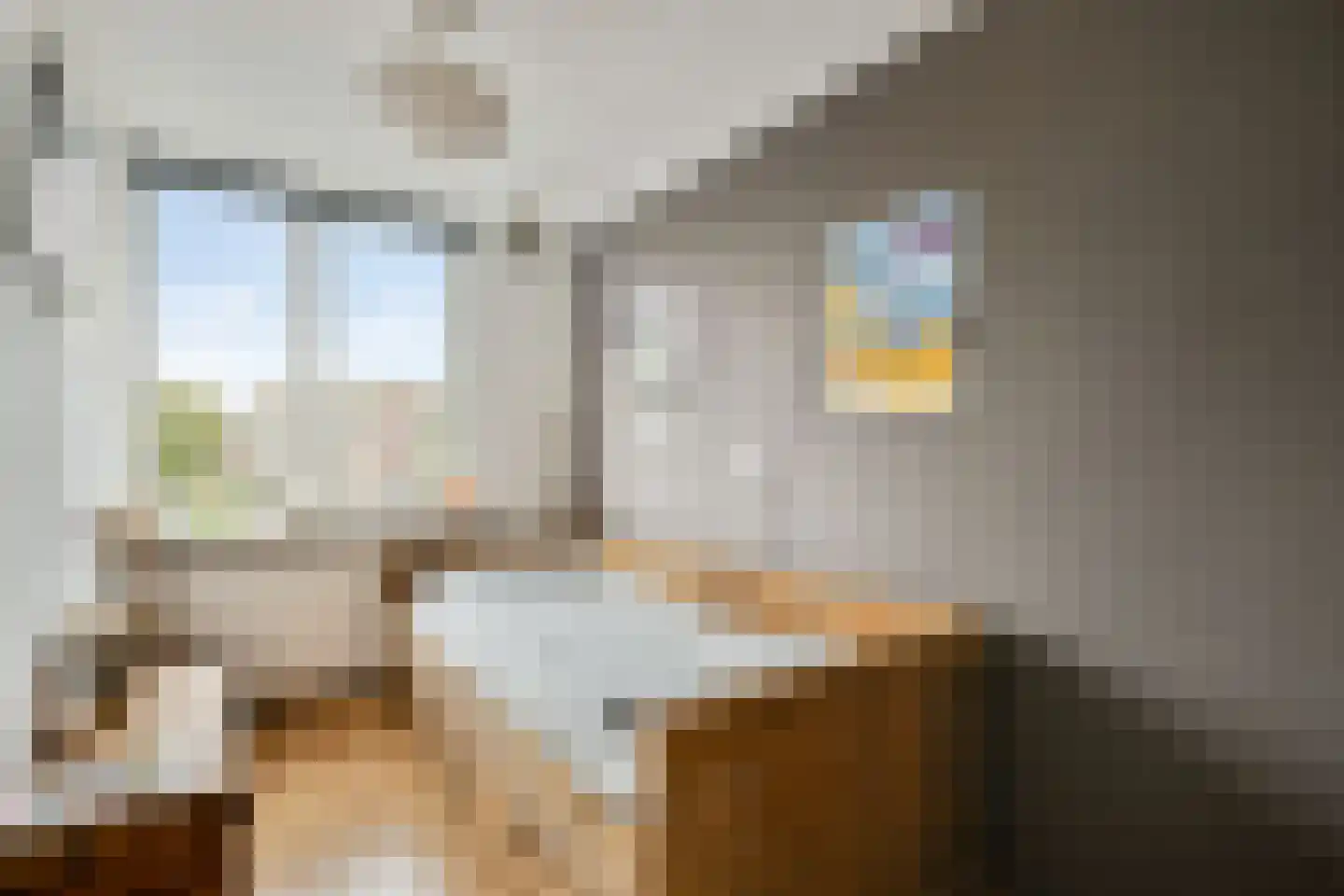 de Lange Gangh 15 Muiden thumbnail 19