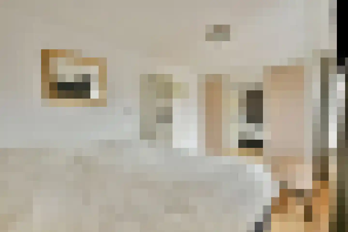 de Lange Gangh 15 Muiden thumbnail 22