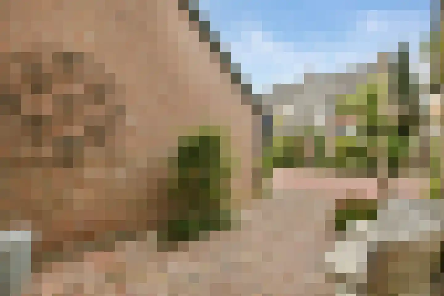 de Lange Gangh 15 Muiden thumbnail 30