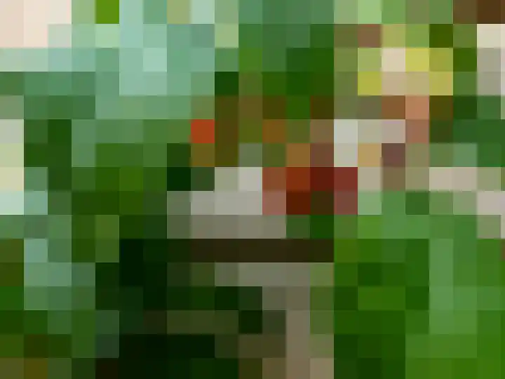 De Lange Garde 2 Warnsveld thumbnail 25