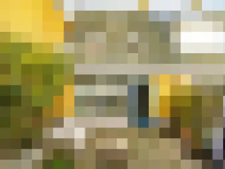 De Lange Garde 2 Warnsveld thumbnail 27