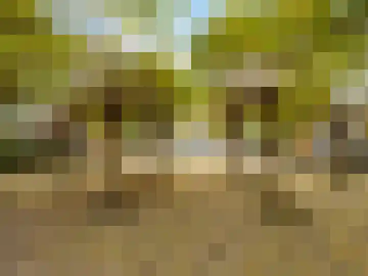 De Lange Garde 2 Warnsveld thumbnail 33
