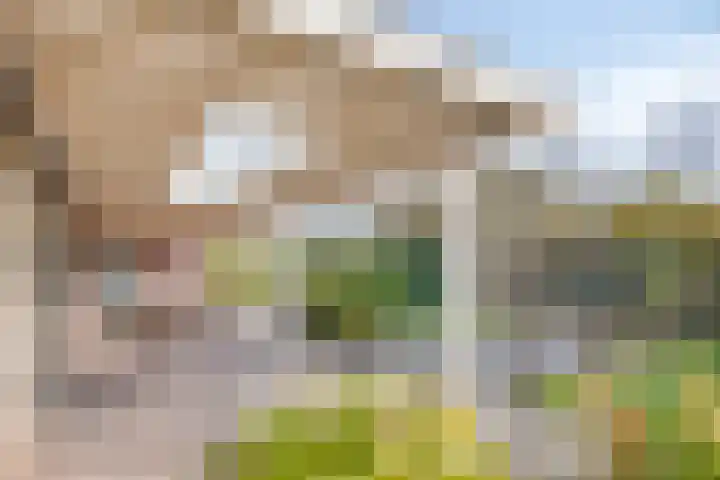 De Lange Garde 27 Warnsveld thumbnail 35