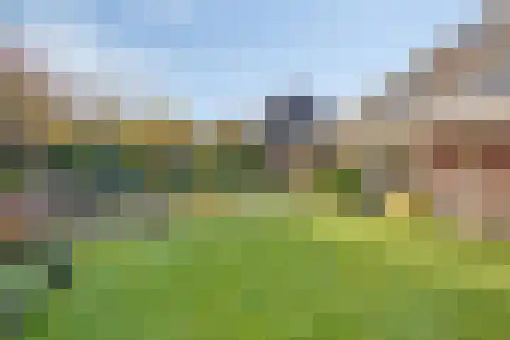De Lange Garde 27 Warnsveld thumbnail 4