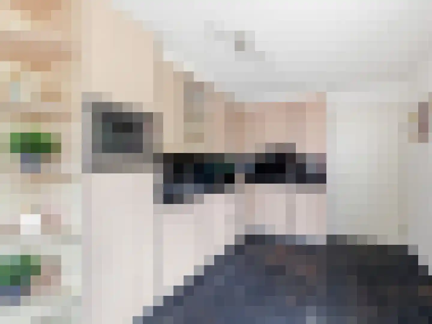 De Lange Garde 31 Warnsveld thumbnail 11