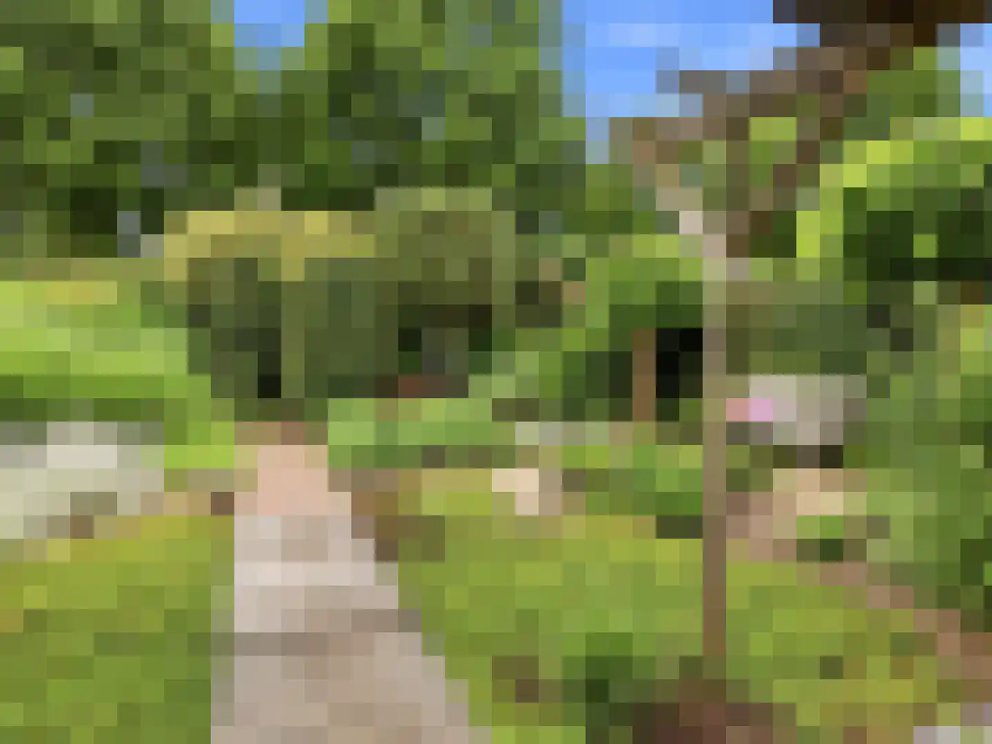 De Lange Garde 31 Warnsveld thumbnail 31