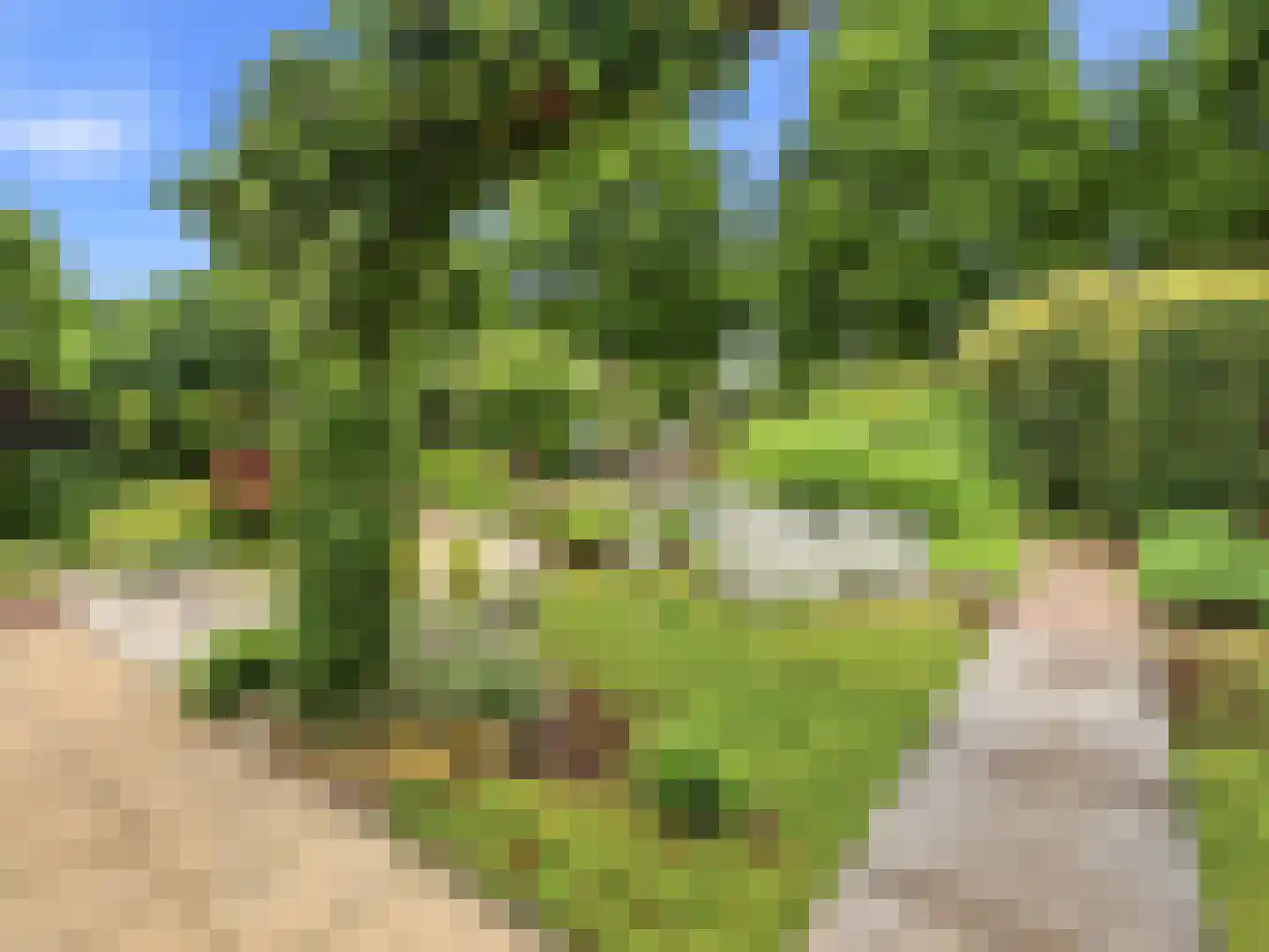 De Lange Garde 31 Warnsveld thumbnail 32