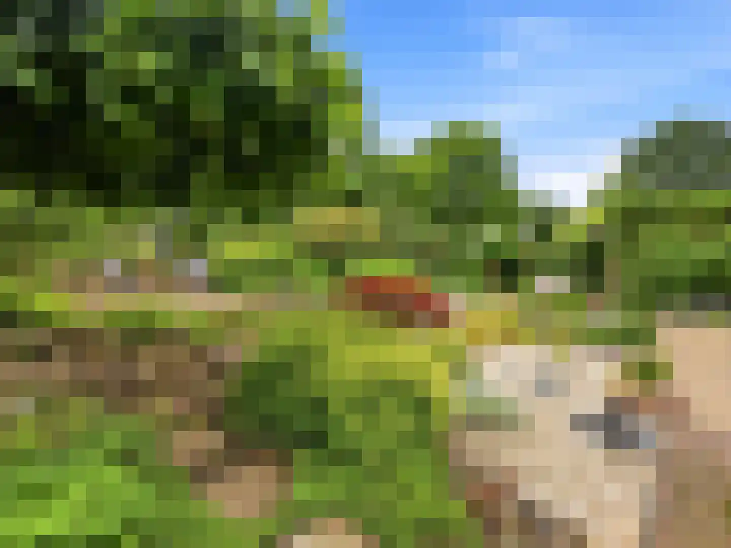 De Lange Garde 31 Warnsveld thumbnail 34