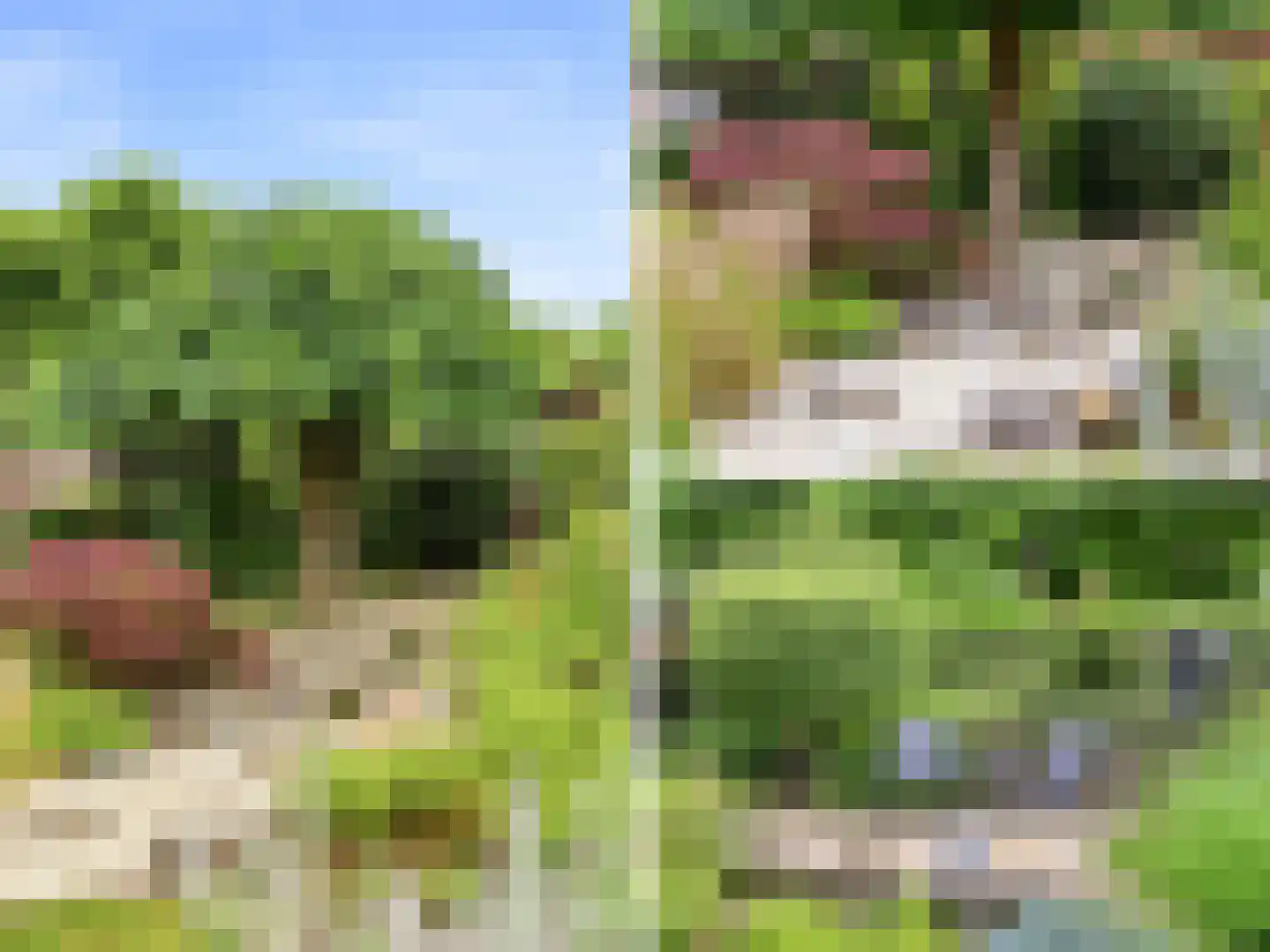 De Lange Garde 31 Warnsveld thumbnail 36