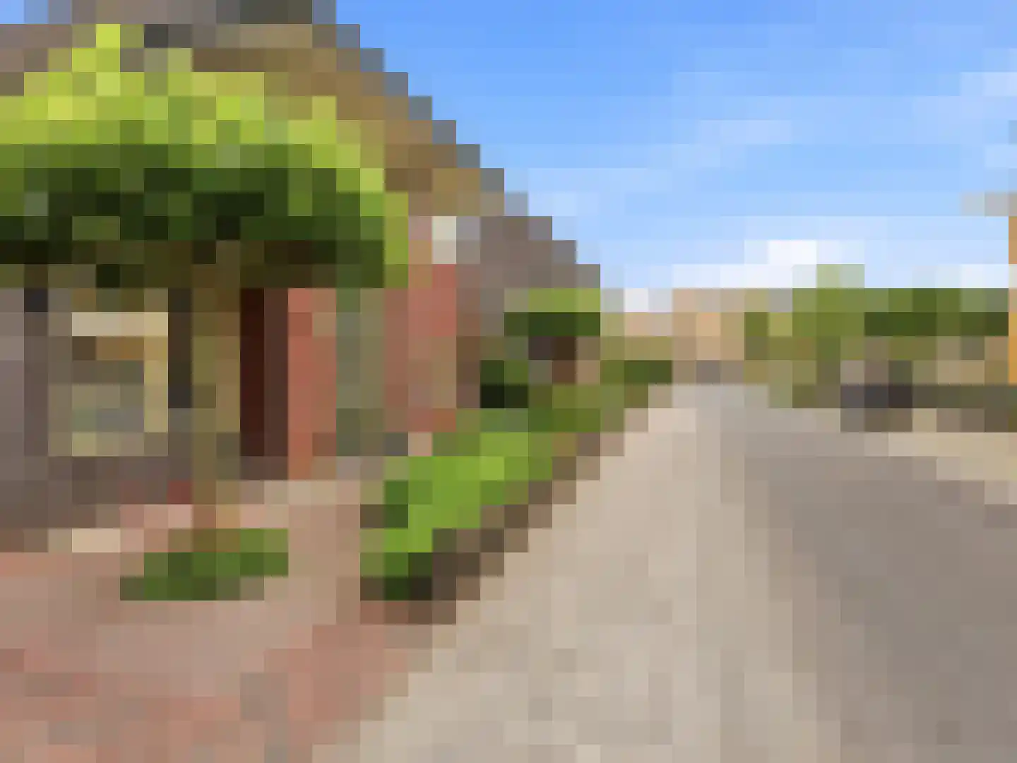 De Lange Garde 31 Warnsveld thumbnail 41