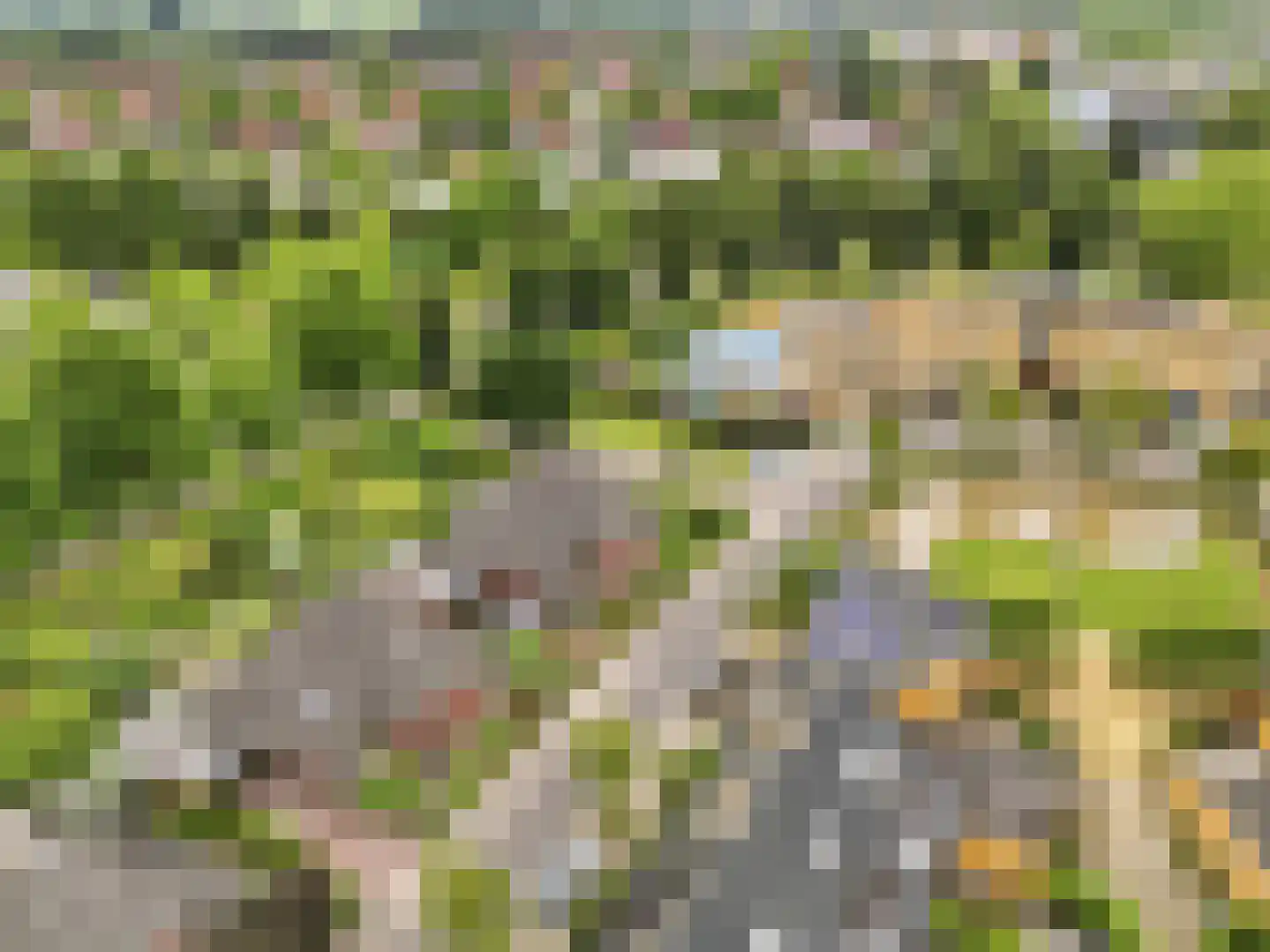De Lange Garde 31 Warnsveld thumbnail 44