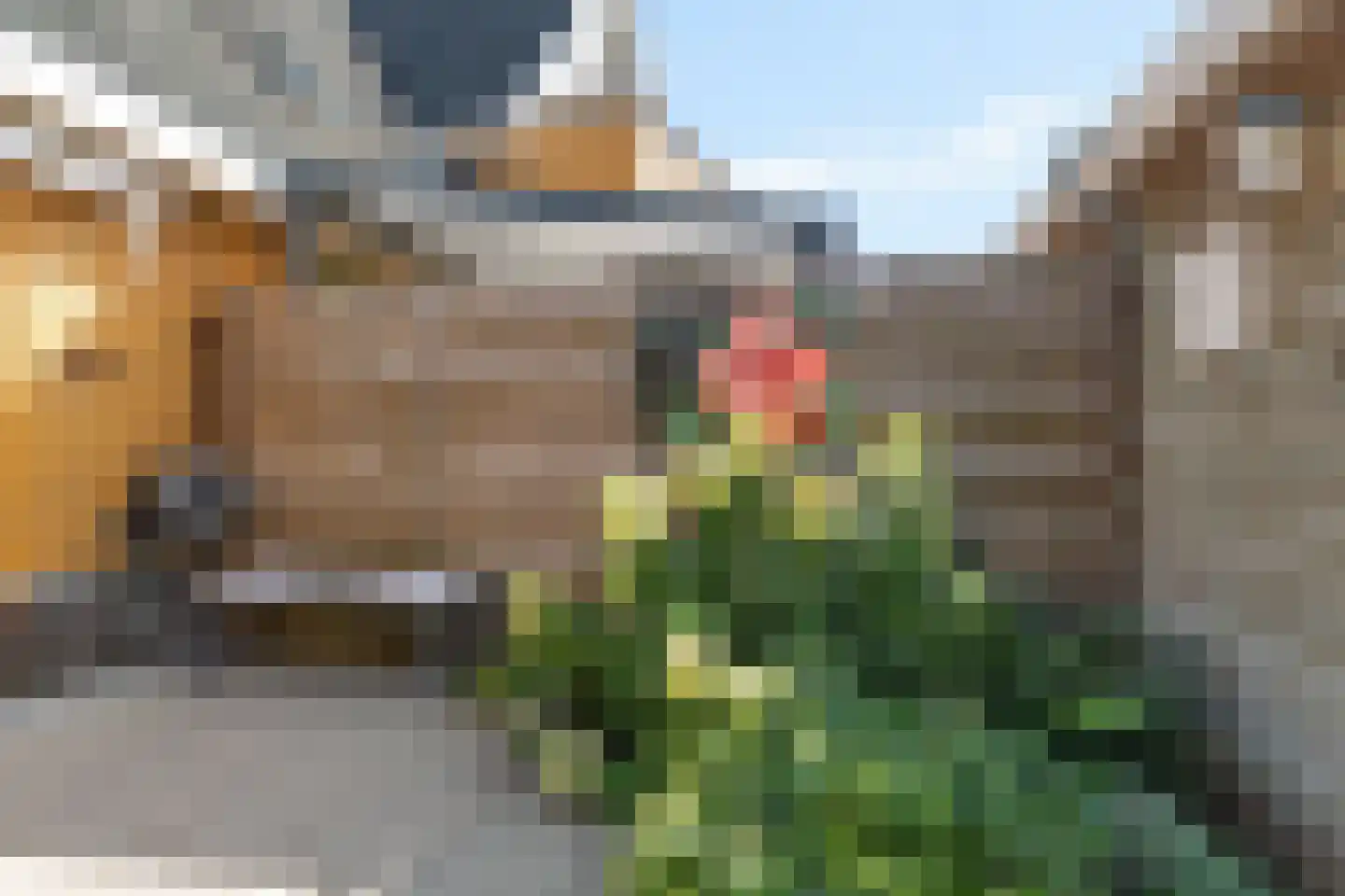 De Lange Garde 46 Warnsveld thumbnail 33