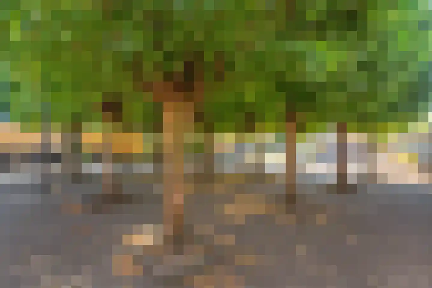 De Lange Garde 46 Warnsveld thumbnail 35