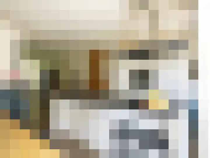 De Lange Garde 67 Warnsveld thumbnail 14