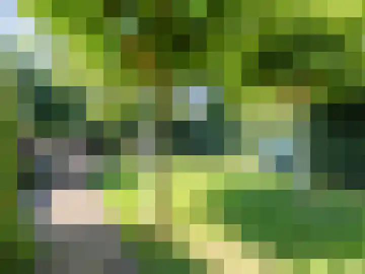 De Lange Garde 67 Warnsveld thumbnail 31