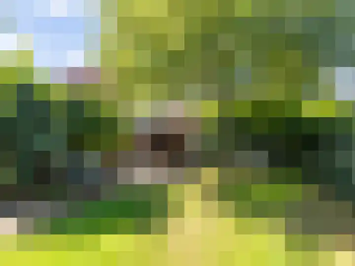 De Lange Garde 67 Warnsveld thumbnail 32