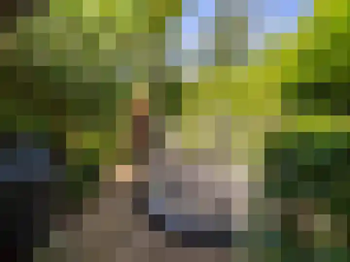 De Lange Garde 67 Warnsveld thumbnail 34