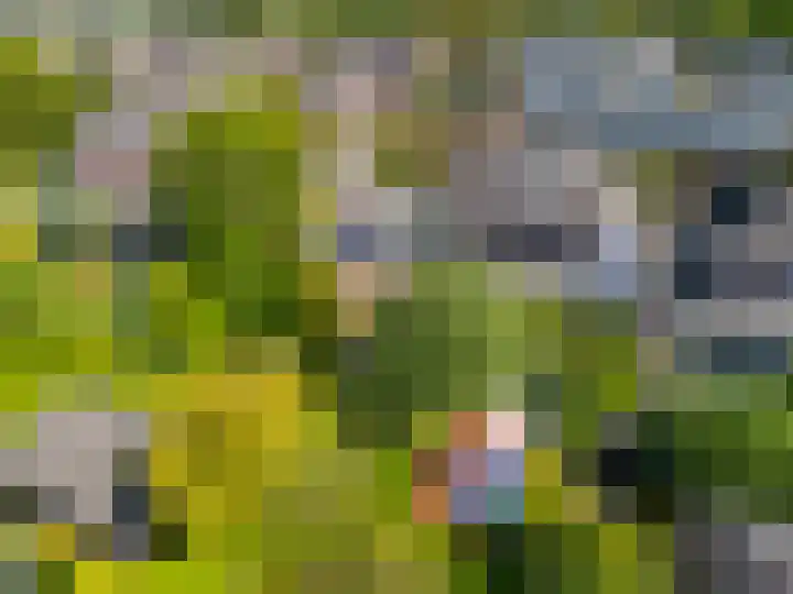De Lange Garde 67 Warnsveld thumbnail 36