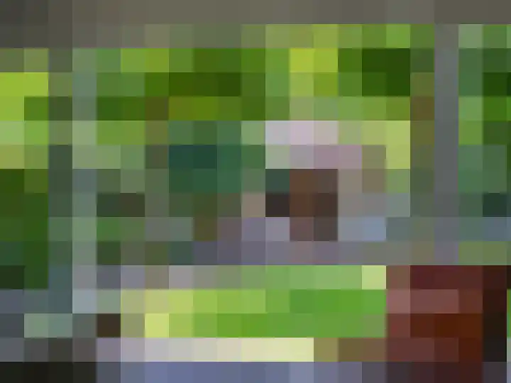 De Lange Garde 67 Warnsveld thumbnail 7